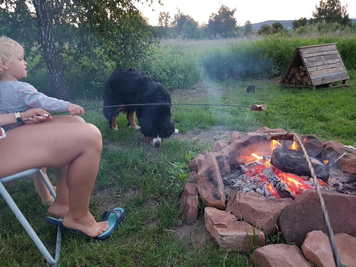 Wrzosowe Wzgorze Apartamenty Chęciny Dış mekan fotoğraf